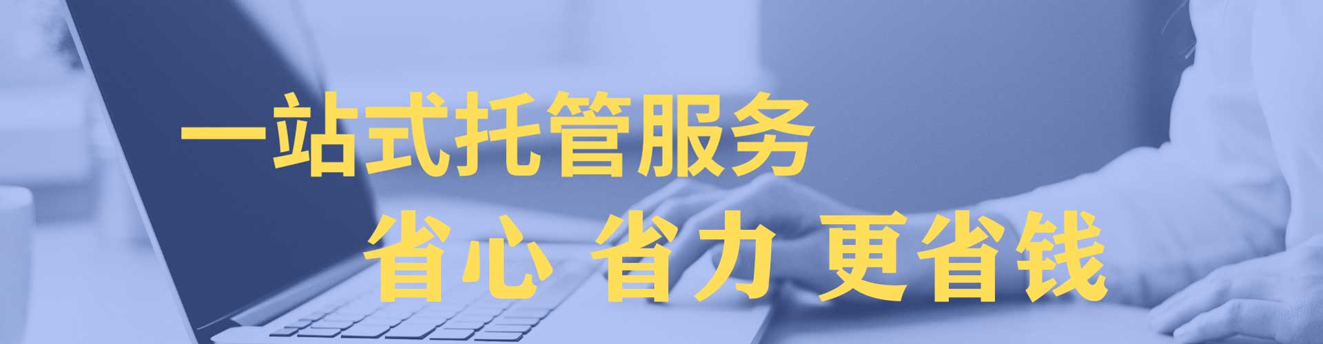 新密竞价排名